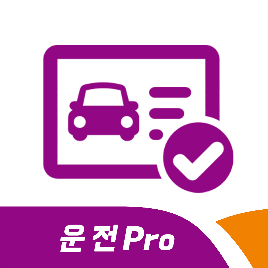 운전 Pro